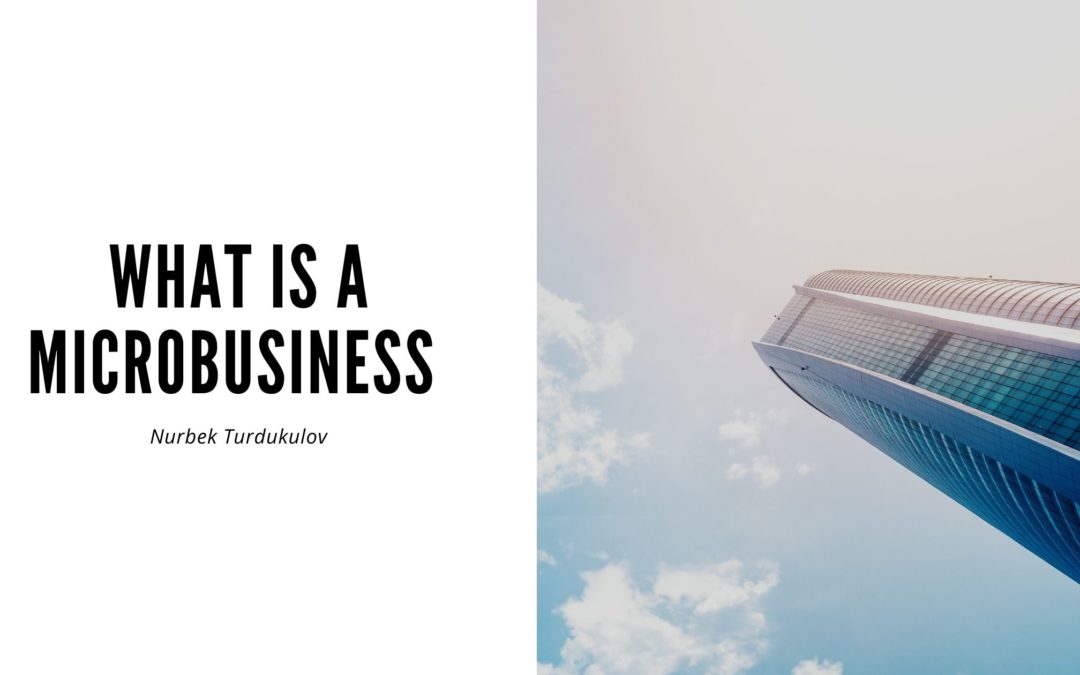 What Is A Microbusiness